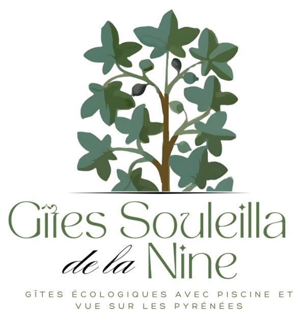 Souleilla De La Nine Holiday home Canens